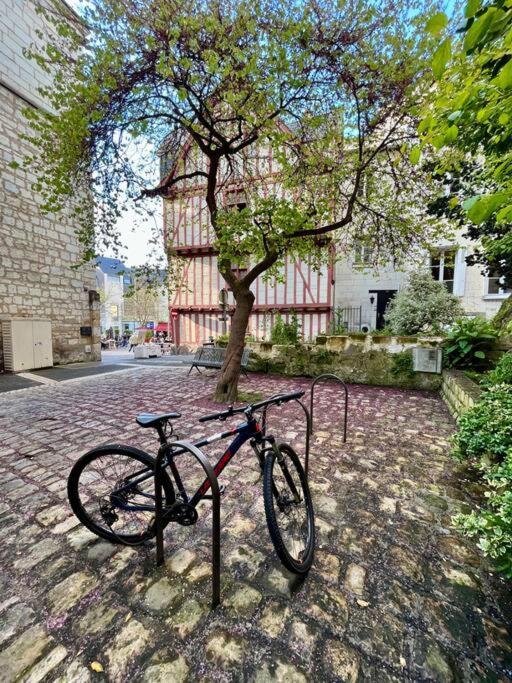 Appartement Cosy Hypercentre Place St Pierre Saumur Extérieur photo